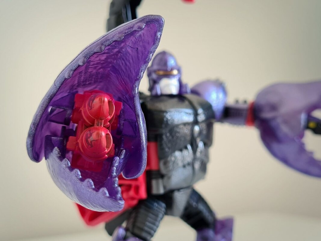 buzzworthy 4 pack